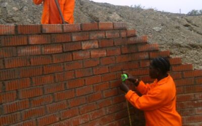 Zibambele Road Maintenance Programme