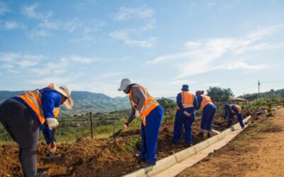 The Upgrade of District Road 1613 (D1613) – EPWP Directorate