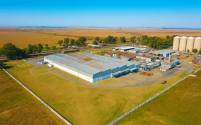 RCL Foods Conditional Assessments