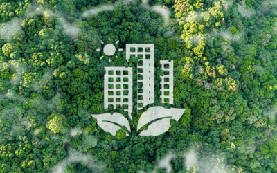 How Naidu Consulting Embeds ESGS for Resilient South African Infrastructure